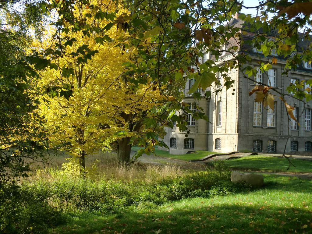 Jagdschloss-Bellin Bellin  Exteriér fotografie